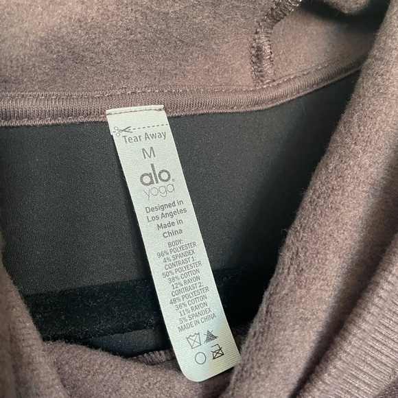 ALO YOGA Luxe Velour Long Sleeve Hoodie in Raisin - Picture 4 of 7